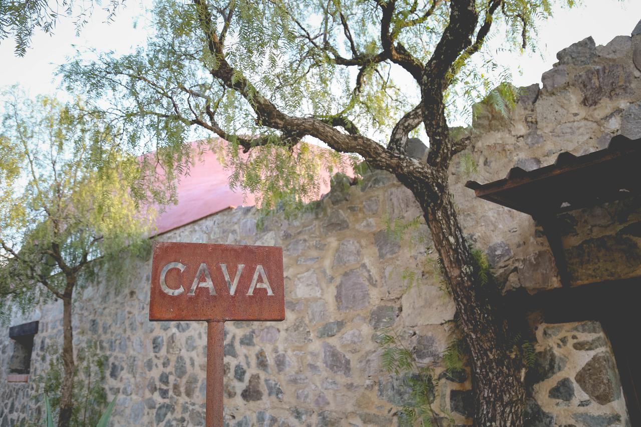 Hotel Camino De Vinos Guanajuato Bagian luar foto